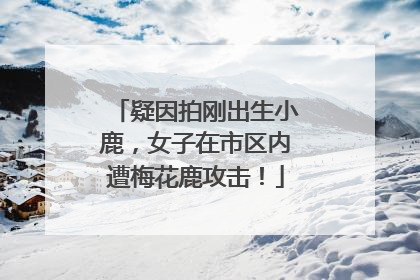 疑因拍刚出生小鹿，女子在市区内遭梅花鹿攻击！