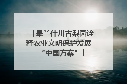 皋兰什川古梨园诠释农业文明保护发展“中国方案”