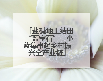 盐碱地上结出“蓝宝石”，小蓝莓串起乡村振兴全产业链