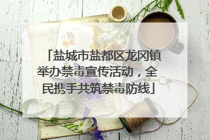 盐城市盐都区龙冈镇举办禁毒宣传活动，全民携手共筑禁毒防线