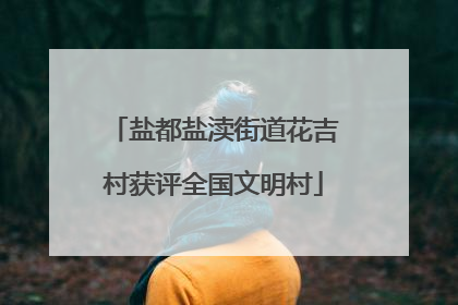 盐都盐渎街道花吉村获评全国文明村