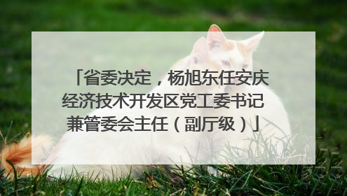 省委决定，杨旭东任安庆经济技术开发区党工委书记兼管委会主任（副厅级）