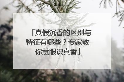 真假沉香的区别与特征有哪些？专家教你慧眼识真香