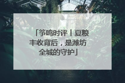 筝鸣时评丨夏粮丰收背后，是潍坊全城的守护