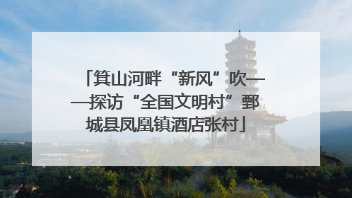 箕山河畔“新风”吹——探访“全国文明村”鄄城县凤凰镇酒店张村