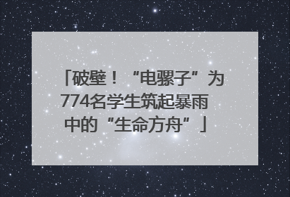 破壁！“电骡子”为774名学生筑起暴雨中的“生命方舟”