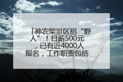 神农架景区招“野人”！日薪500元，已有近4000人报名，工作职责包括“接受游客投喂”