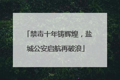 禁毒十年铸辉煌，盐城公安启航再破浪