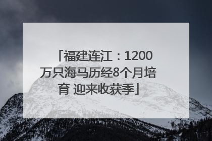 福建连江：1200万只海马历经8个月培育 迎来收获季