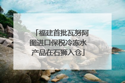 福建首批瓦努阿图进口保税冷冻水产品在石狮入仓