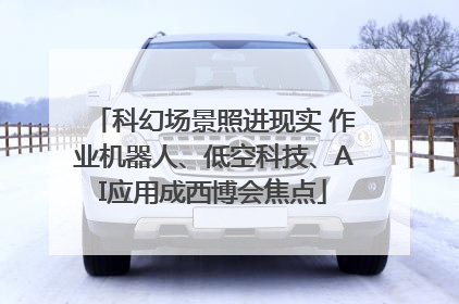 科幻场景照进现实 作业机器人、低空科技、AI应用成西博会焦点