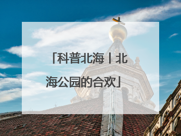 科普北海丨北海公园的合欢