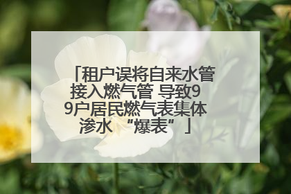 租户误将自来水管接入燃气管 导致99户居民燃气表集体渗水 “爆表”