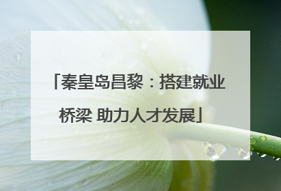 秦皇岛昌黎：搭建就业桥梁 助力人才发展