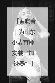 秦晓春｜为山东小麦育种安装“加速器”