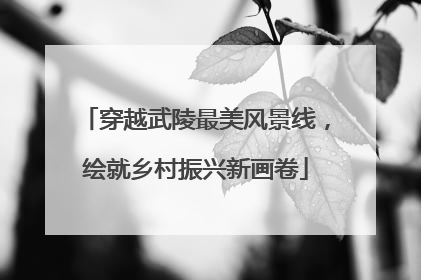穿越武陵最美风景线，绘就乡村振兴新画卷