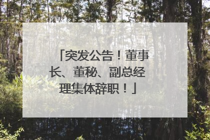 突发公告！董事长、董秘、副总经理集体辞职！