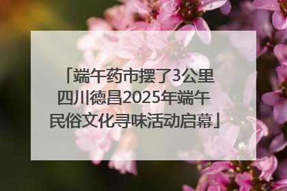 端午药市摆了3公里 四川德昌2025年端午民俗文化寻味活动启幕
