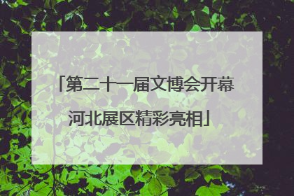 第二十一届文博会开幕 河北展区精彩亮相