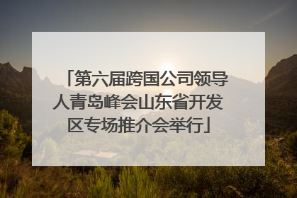 第六届跨国公司领导人青岛峰会山东省开发区专场推介会举行