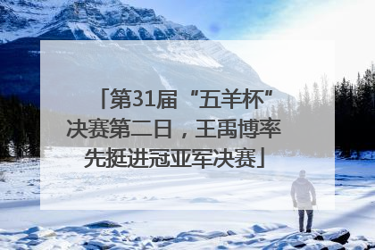 第31届“五羊杯”决赛第二日，王禹博率先挺进冠亚军决赛