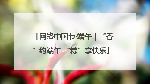 网络中国节·端午｜“香”约端午 “粽”享快乐