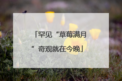 罕见“草莓满月”奇观就在今晚
