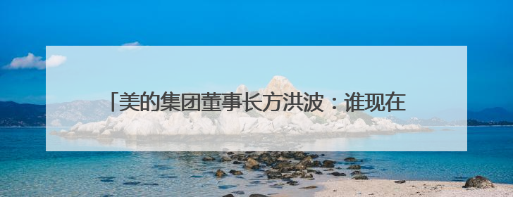 美的集团董事长方洪波：谁现在进入家电业，在战略上已经输了