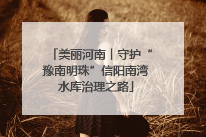 美丽河南丨守护“豫南明珠”信阳南湾水库治理之路