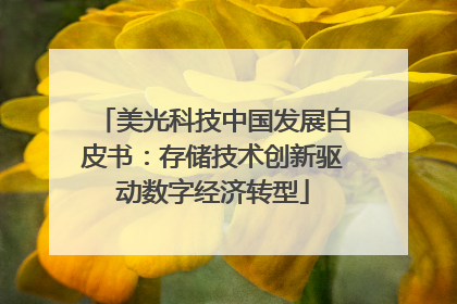 美光科技中国发展白皮书：存储技术创新驱动数字经济转型