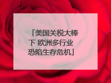 美国关税大棒下 欧洲多行业恐陷生存危机