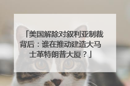 美国解除对叙利亚制裁背后：谁在推动建造大马士革特朗普大厦？