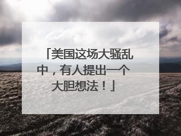 美国这场大骚乱中，有人提出一个大胆想法！