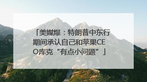 美媒爆：特朗普中东行期间承认自己和苹果CEO库克“有点小问题”