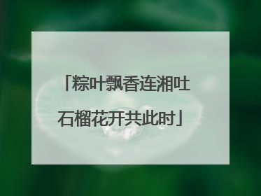 粽叶飘香连湘吐 石榴花开共此时