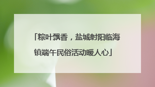 粽叶飘香，盐城射阳临海镇端午民俗活动暖人心