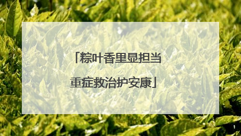 粽叶香里显担当 重症救治护安康