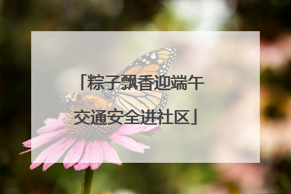 粽子飘香迎端午 交通安全进社区