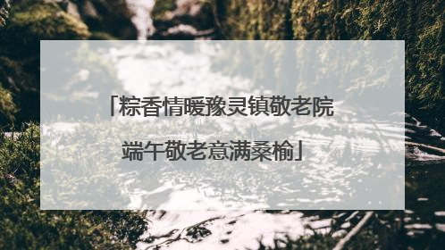 粽香情暖豫灵镇敬老院 端午敬老意满桑榆