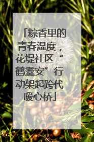 粽香里的青春温度，花堤社区“鹤耋安”行动架起跨代暖心桥