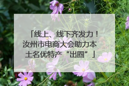 线上、线下齐发力！汝州市电商大会助力本土名优特产“出圈”