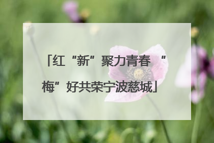红“新”聚力青春 “梅”好共荣宁波慈城