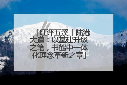 红评五溪丨陆港大道：以基建升级之笔，书鹤中一体化理念革新之章