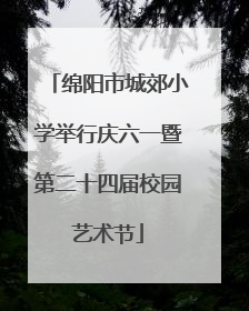 绵阳市城郊小学举行庆六一暨第二十四届校园艺术节