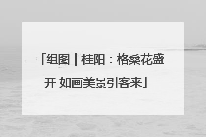 组图｜桂阳：格桑花盛开 如画美景引客来