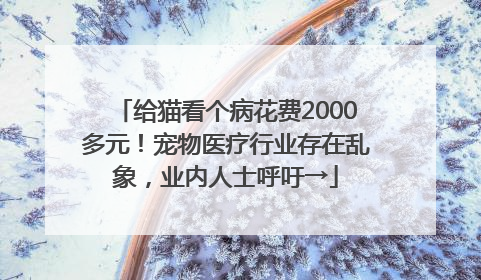 给猫看个病花费2000多元！宠物医疗行业存在乱象，业内人士呼吁→