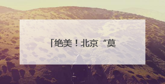 绝美！北京“莫奈睡莲”上线