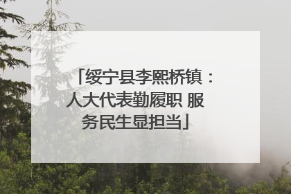 绥宁县李熙桥镇：人大代表勤履职 服务民生显担当