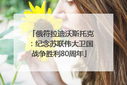 俄符拉迪沃斯托克：纪念苏联伟大卫国战争胜利80周年