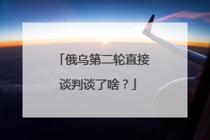 俄乌第二轮直接谈判谈了啥？